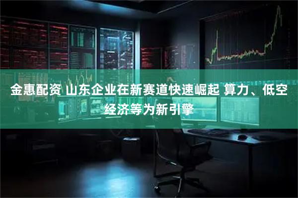 金惠配资 山东企业在新赛道快速崛起 算力、低空经济等为新引擎