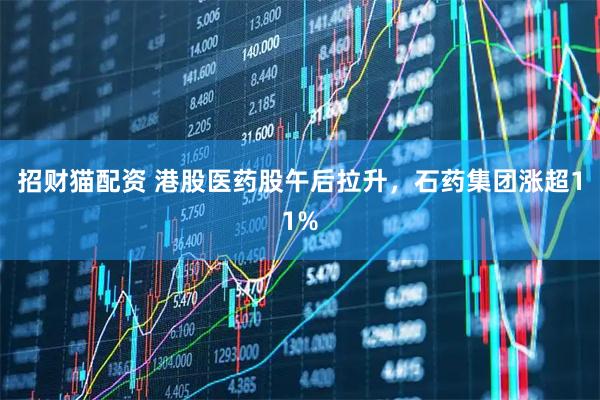 招财猫配资 港股医药股午后拉升，石药集团涨超11%