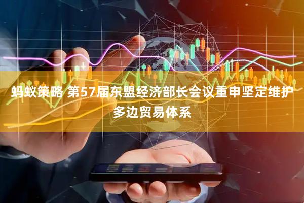 蚂蚁策略 第57届东盟经济部长会议重申坚定维护多边贸易体系