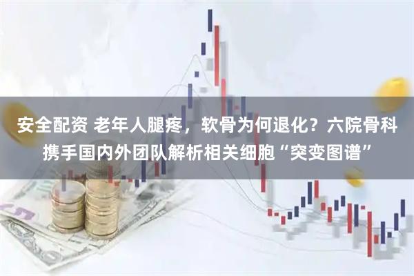 安全配资 老年人腿疼,软骨为何退化?六院骨科携手国内外团队解析相关细胞“突变图谱”