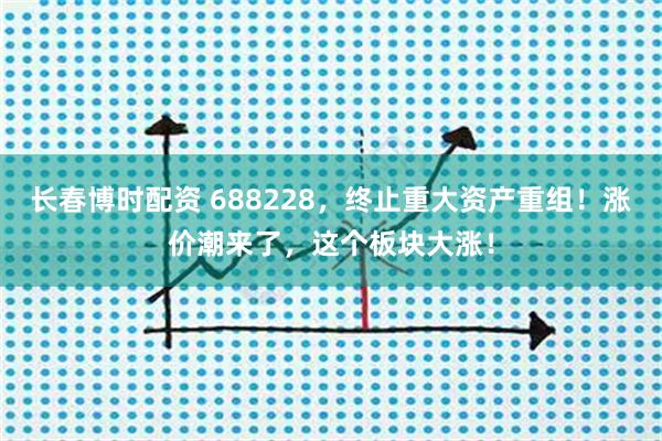 长春博时配资 688228，终止重大资产重组！涨价潮来了，这个板块大涨！