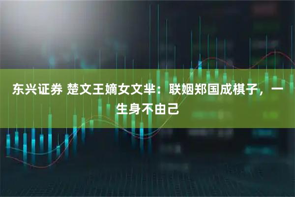 东兴证券 楚文王嫡女文芈：联姻郑国成棋子，一生身不由己