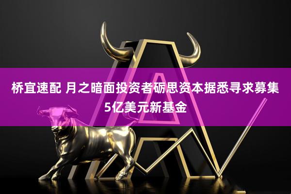 桥宜速配 月之暗面投资者砺思资本据悉寻求募集5亿美元新基金